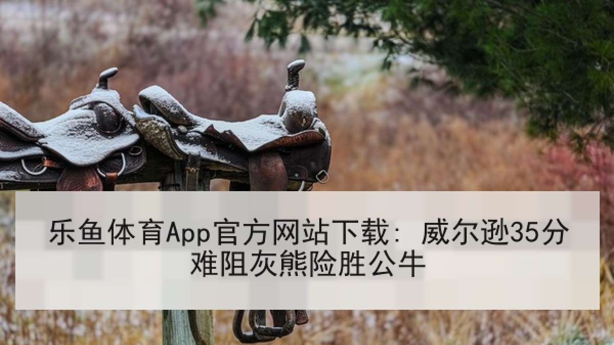 乐鱼体育App官方网站下载: 威尔逊35分难阻灰熊险胜公牛