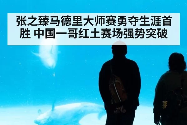 张之臻马德里大师赛勇夺生涯首胜 中国一哥红土赛场强势突破