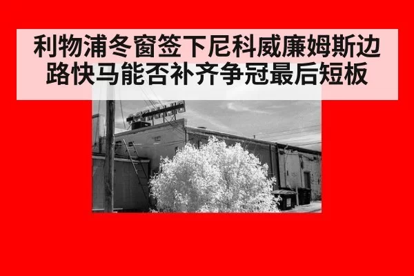 利物浦冬窗签下尼科威廉姆斯边路快马能否补齐争冠最后短板